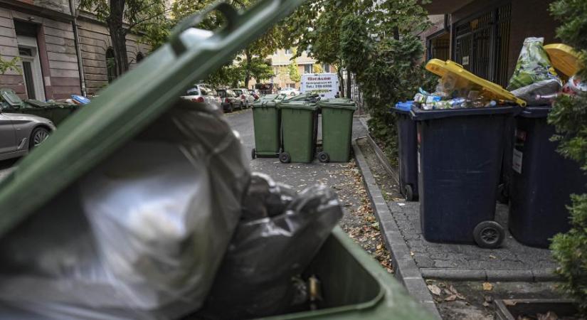 Zsákba tette és szemetesbe dobta öreg kutyáját egy idős nő a VII. kerületben