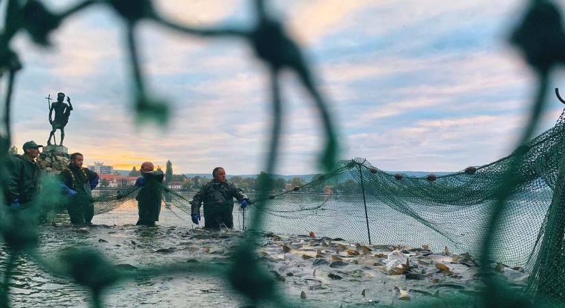 Jó hír az Öreg-tavi Nagy Halászat rajongóinak: az idén ingyenes lesz a tatai halászfesztivál