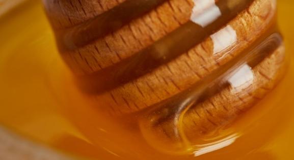 Így aligha lesz Magyarország tejjel és mézzel folyó kánaán