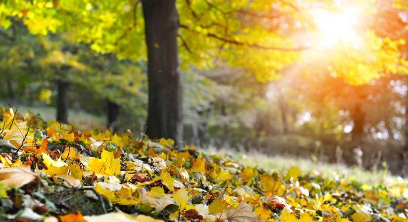 Több mint százhúsz éve nem volt ilyen meleg a szeptember Magyarországon