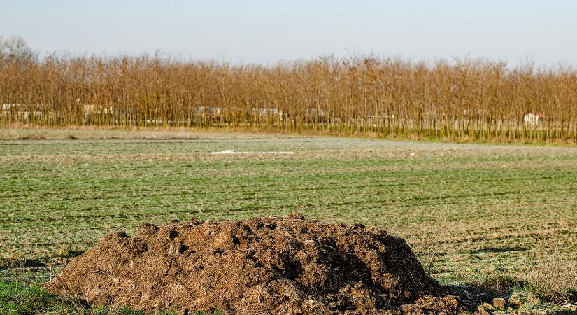 Meghálálja a talaj a szervestrágya-használatot
