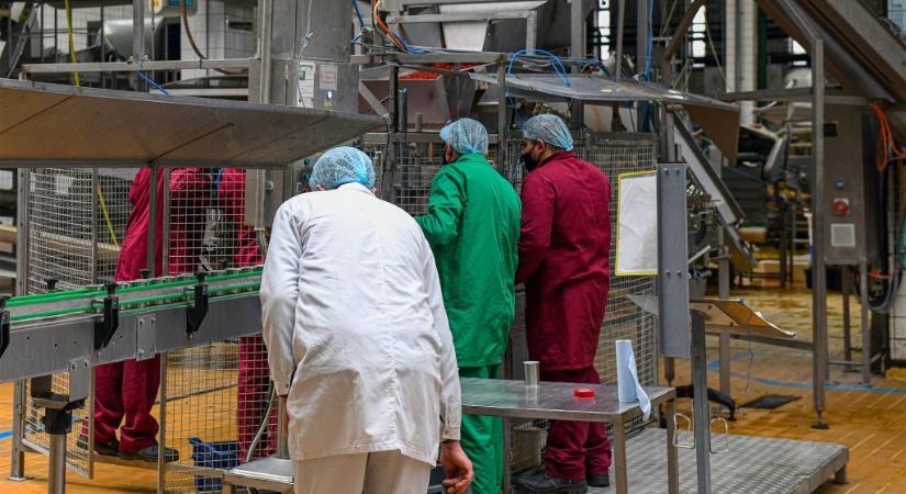 Határozatban szólítja fel a hajdúszoboszlói önkormányzat a kormányt, hogy nyugtassa meg a lakosságot a vendégmunkásdömping miatt