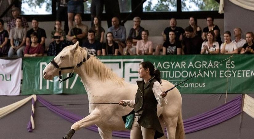 Hamarosan közzéteszik a 2024 végéig várható pályázatok menetrendjét