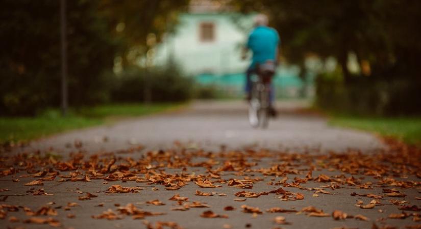 A lehullott faleveleket ideje lenne elkezdeni összegereblyézni – hívja fel a városüzemeltetés figyelmét olvasónk