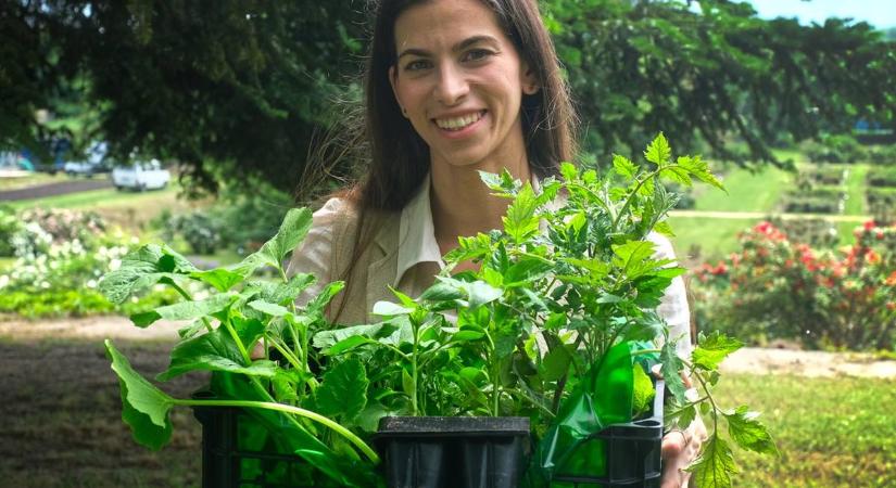 Szentkirályi Alexandra bejegyzése margójára: már régen nem csak kényszerhelyzetben hazudtok, hanem mindig