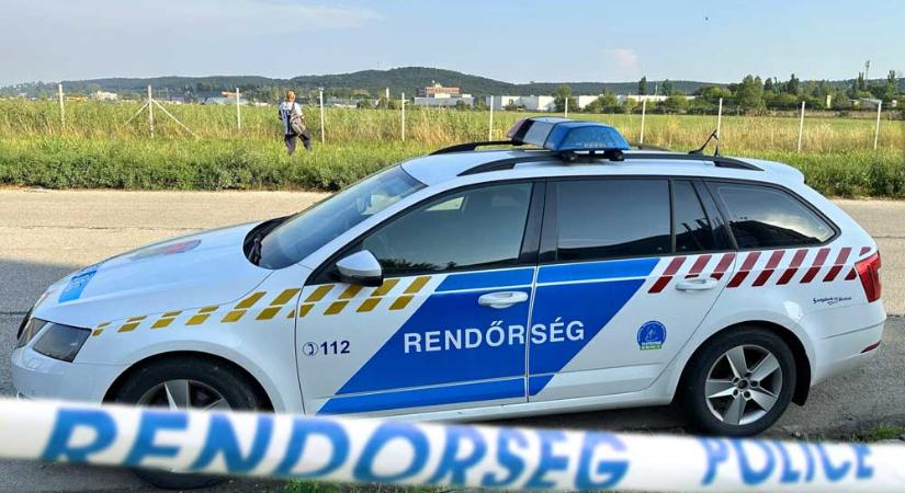 Sokkoló! Láncfűrésszel fenyegette a járókelőket egy férfi Pest megyében, így terítették le a rendőrök