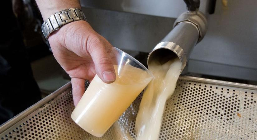 Fellendülőben a magyar cideripar, Baranyában már tanúsítják