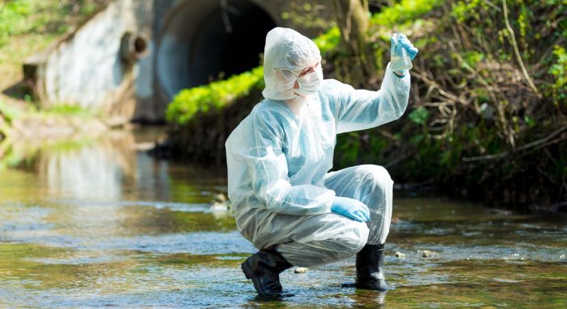 Koronavírus: itt vannak a heti, kecskeméti szennyvízadatok