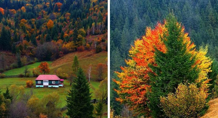 Az őszi Erdély csodavilága, ahogy egy magyar „medvepásztor” látja