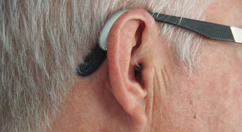 Fül-orr-gégészet