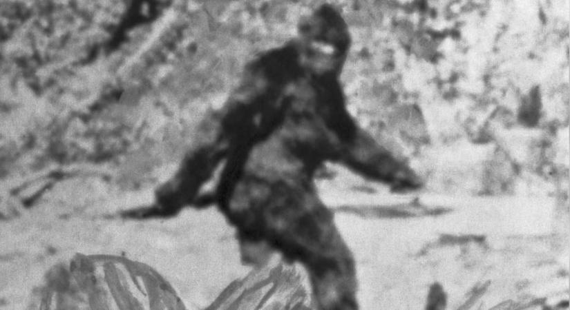 Újabb felvétel bizonyítja Bigfoot létezését: az eddigi legerősebb bizonyítéknak tartják a videót