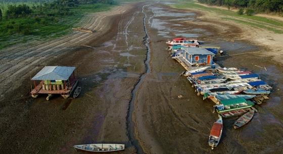 30 millió őslakos veszélyben az amazóniai szárazság miatt