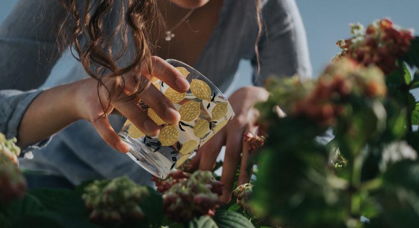 Ártalmasabbnál ártalmasabb növényvédelmi mítoszok – ugye nem dőlsz be nekik?