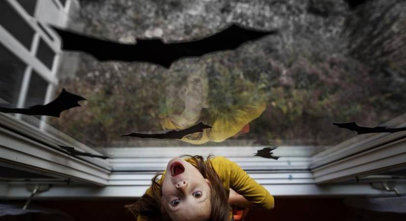 „Jobb, ha a horrorfilmek helyett a töklámpás faragásáról szól a halloween” - Gyermekpszichológus figyelmeztet a halloweeni bulik veszélyeire