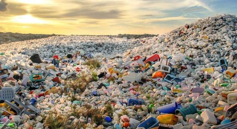 Az óceánokat fenyegető veszélyekre figyelmeztet a Greenpeace