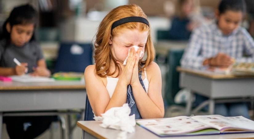 Covid, influenza, allergia: innen lehet tudni, hogy mi is fertőzött meg, ezek az árulkodó jelek