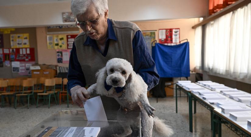 Szavazati jogot követel az állatoknak egy jogász