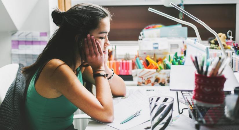 Rengeteg fiatal juthat most ingyen notebookhoz: már csak pár napjuk maradt igényelni