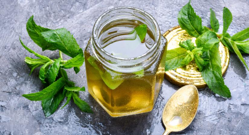 Egészséges mentaszörp recept: így készül a mentaszörp házilag, egyszerűen!