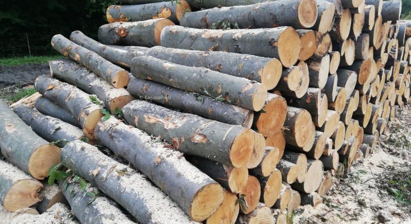 Agrárminisztérium: lesz elég tűzifa