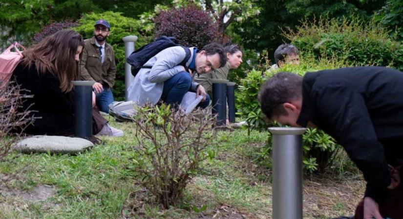 Földből kinövő hanginstalláció a Porajmos áldozatainak emlékére