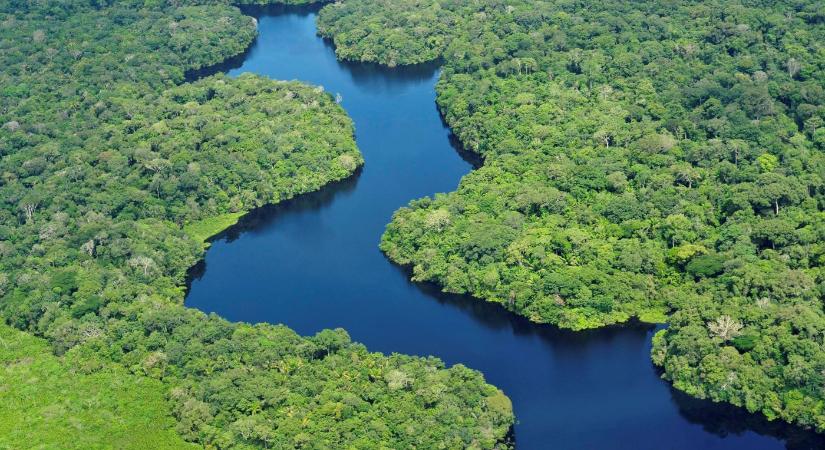 Közel 57%-kal csökkent az erdőirtás a brazíliai Amazonas vidékén szeptemberben