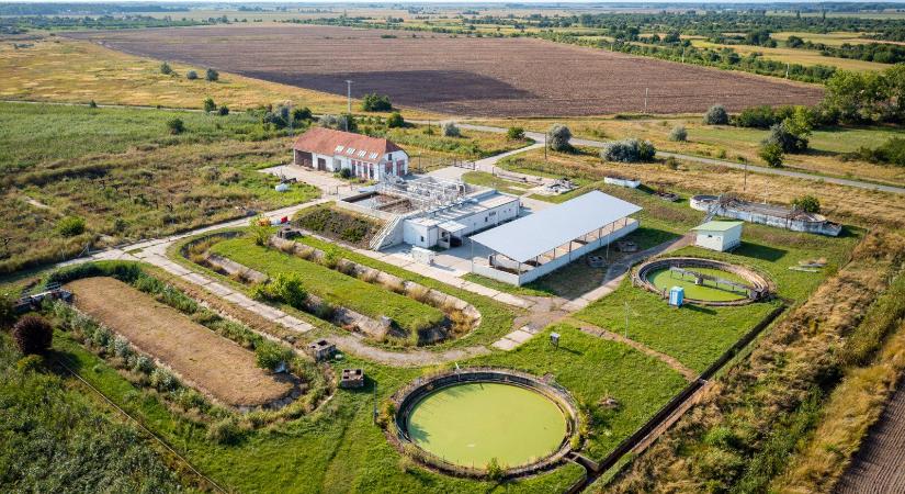 Minden szempontból előrébb lépett ez a Békés vármegyei szennyvíztisztító telep