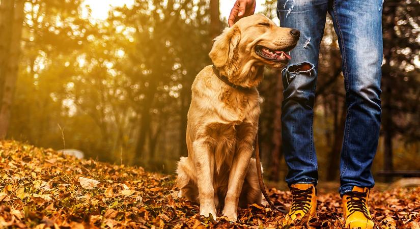3 tipp, hogy élvezetesebbek legyenek az őszi séták