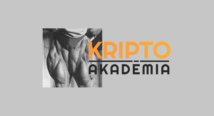 Újabb taggal bővült a Kripto Akadémia kereskedői csapata