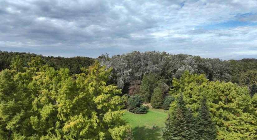 Ha ősz, akkor irány az arborétumok