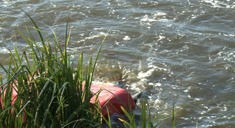 Új lakók a Desedában