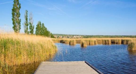 Ismét veszélyben a Fertő-tó:új közbeszerzést írtak ki