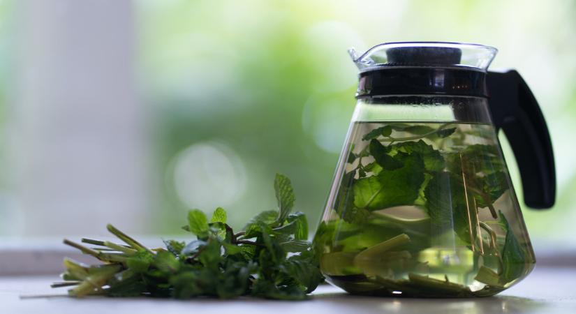 A citromfű tea készítése: mennyi idő után hat a citromfű tea, miért jó citromfű teát fogyasztani?