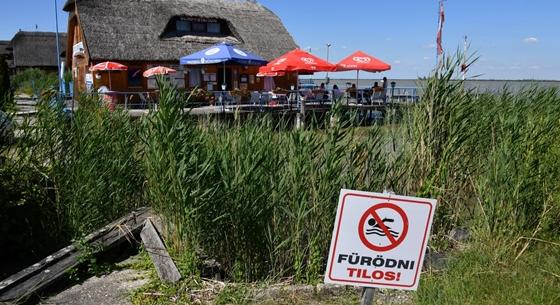 Megjelent az új közbeszerzés, itt a "Fertő tó light"
