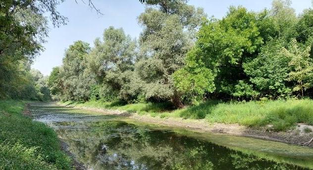 Így fenntartható a folyók és ártereik kezelése