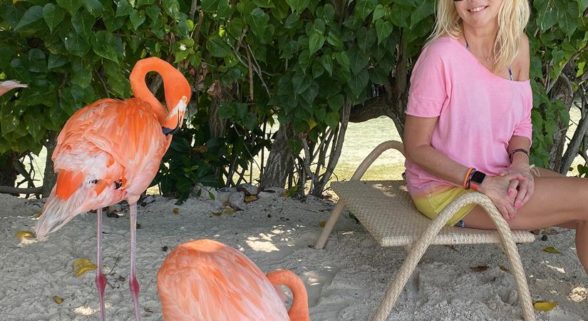 Flamingókkal flangáltam Arubán – Fejős Éva írása