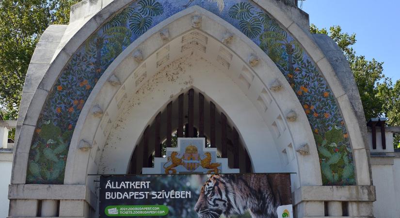 Nébih: megjelent a Fővárosi Állat- és Növénykert új takarmány közbeszerzése