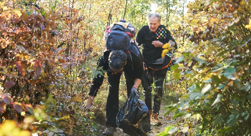 Közel 800 ember vett részt a Continental Erdőtisztító Túranapon és Terepfutáson