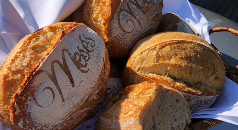 Sok lúd disznót győz – Márton napi disznóvágás