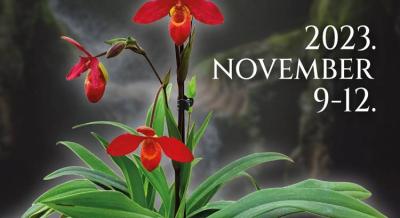 Orchidea és Bromélia Kiállítás, 2023. november 9-12.