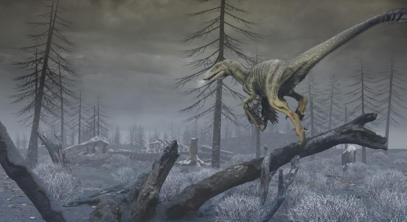 A Chicxulub pora okozta a dinoszauruszok kihalását