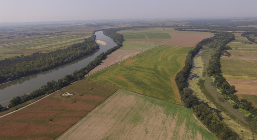 Így élesztik újjá az élővilágot a Mura, Dráva és Duna mentén