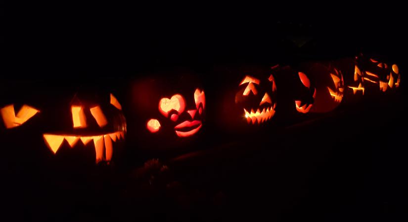 Jó ha tudod: a Halloween-tök mérgező