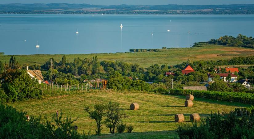 Különlegesek a Balaton-felvidéki buszmegállók