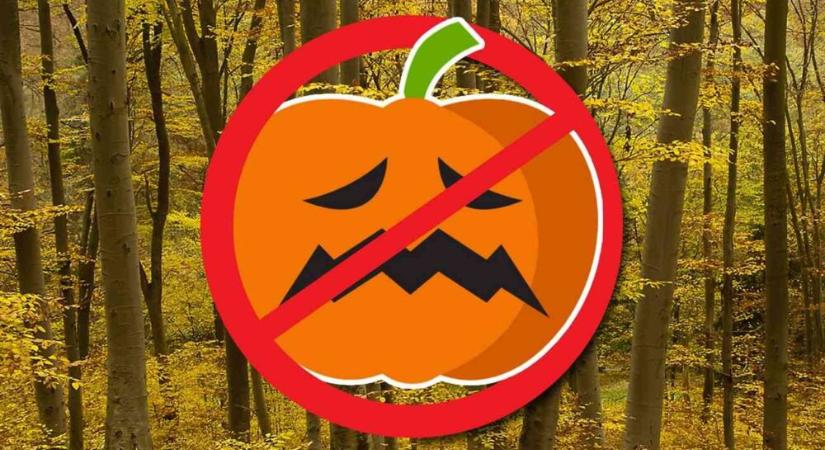 A halloween tök nem való a természetbe!