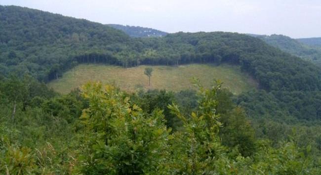 Jövő év elején indulnak az új agrár- és vidékfejlesztési pályázatok