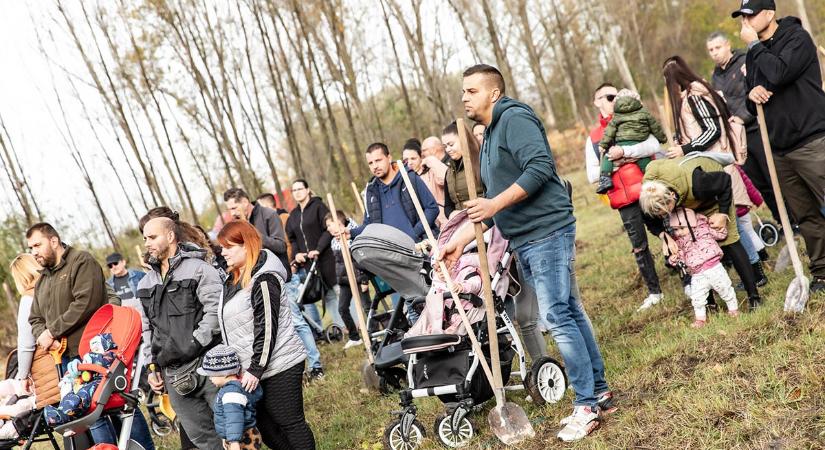 Száznegyvenkét Babafát ültettek Békésen