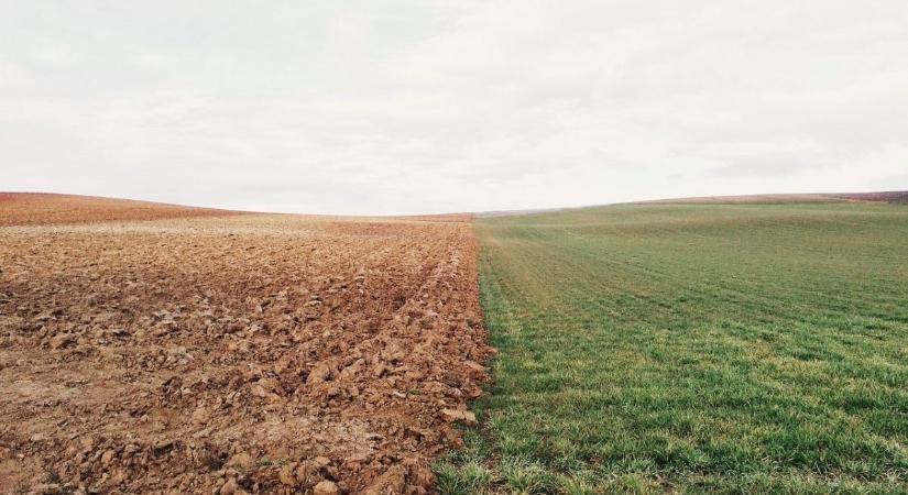 Agrárkamarai tájékoztató segíti az őszi és a jövő évi vetés tervezését