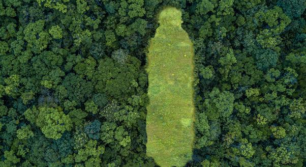 Kiderült, mennyire fenntartható a Coca-Cola