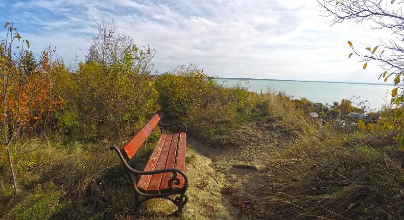 Márton-napi libaságok 2023 Balatonkenese